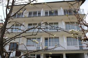 オブゾルにあるGuest House Liliaの白いバルコニーと木があるアパートメントビル