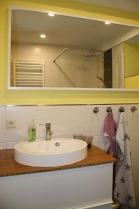 een badkamer met een wastafel en een spiegel bij Ferienwohnung am Riesenfuss in Pirna