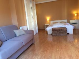 a living room with a couch and a bed at 36 M2 between Presqu'île and university in Lyon