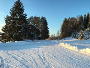 una carretera cubierta de nieve con una casa y un árbol en Vershina Seligera, en Svapushche