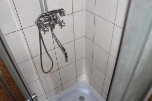 a bathroom with a shower with a toilet and a sink at Atpūtas sēta Lībieši in Luņi +9 photos