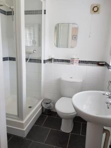 a bathroom with a toilet and a sink and a shower at The Brambles B&B in Waterbeach