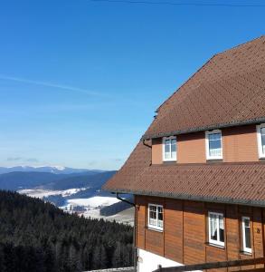 a house with a brown roof and a view of a valley at Pension Forsthaus Täle in Titisee-Neustadt