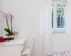 Фотография из галереи Villa Pollio Guest House в Анакапри