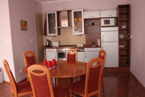 Kuchyň nebo kuchyňský kout v ubytování Jurincom apartmens Zamecky Vrch