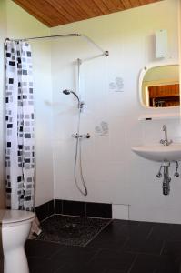a bathroom with a shower and a sink and a toilet at Bungalow Pipp in Passriach