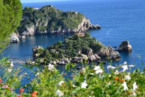 Táj Show holiday homes közelében