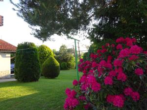 a bush with pink flowers in a yard at Rooms Kapelj in Postojna