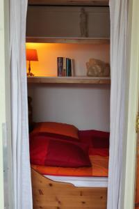 a bedroom with a bed in a book shelf at B&B Gasthuis 288 in Delft