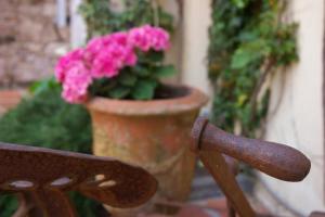 Fotografie z fotogalerie ubytování Hotel Can Ceret v destinaci Sant Pere Pescador