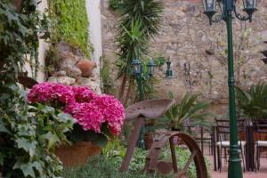 Fotografie z fotogalerie ubytování Hotel Can Ceret v destinaci Sant Pere Pescador