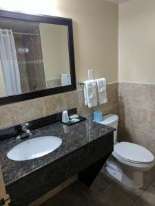 a bathroom with a sink and a toilet and a mirror at Luxury Inn in Collingwood +25 photos