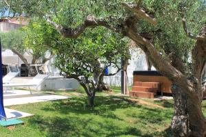 a group of trees in a yard with green grass at Signorino Eco Resort & Spa in Marsala