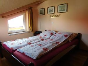 sypialnia z łóżkiem z kwiatową kołdrą i oknem w obiekcie Willa pod piórem w Szczyrku