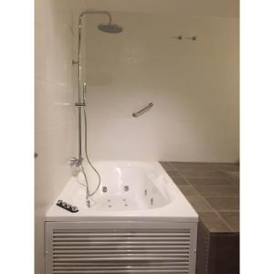 a bath tub with a shower in a bathroom at Apartahotel Baldiri in Sant Boi del Llobregat