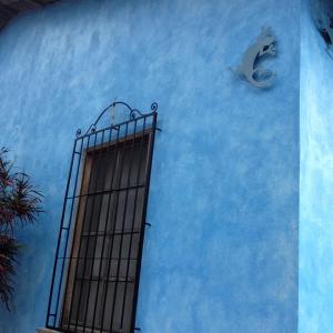 Copan Ruinas'taki Hostel Iguana Azul tesisine ait fotoğraf galerisinden bir görsel