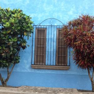 Copan Ruinas'taki Hostel Iguana Azul tesisine ait fotoğraf galerisinden bir görsel
