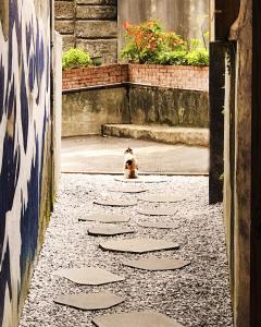 a dog sitting in the middle of an alley at Ching Shang Tien Hua in Ruifang
