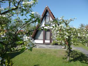 a house with a flowering tree in front of it at Ferienhaus Wigwam im Feriendorf Altes Land in Hollern-Twielenfleth