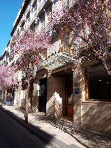 a building with purple trees in front of a street at Hotel Inca in Zaragoza