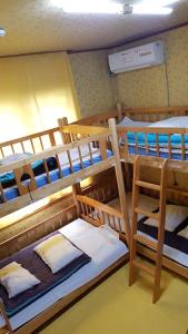 einen Blick über einen Schlafsaal mit 3 Etagenbetten in der Unterkunft Guesthouse Spring Flower in Seogwipo
