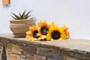 Foto dalla galleria di Aigaio Studios tinos a Città di Tinos