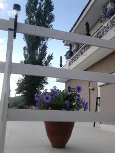 Balkón nebo terasa v ubytování Meerithic ROKKA ROOMS