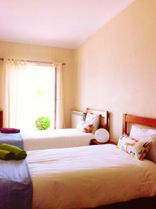 - une chambre avec 2 lits et une fenêtre dans l'établissement FreeSurfCamp & Hostel, à Peniche