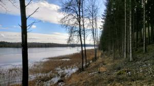 a view of a lake through the trees at Kronobergshed vandrarhem och kursgård in Moheda
