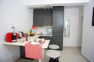 Kuchyň nebo kuchyňský kout v ubytování Studio apartment Laganini
