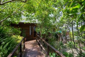 Zahrada ubytování Big Tree House Lodge