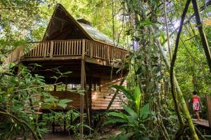 a wooden cabin in the middle of the forest at La Manigua Lodge in La Macarena