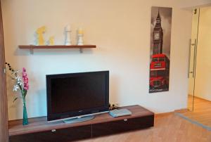 Telewizja i/lub zestaw kina domowego w obiekcie Stubai Apartment Telfes