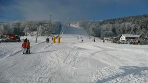 eine Gruppe von Menschen fährt einen schneebedeckten Hang hinunter in der Unterkunft Kleines Ritz in Willingen