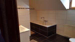 Ένα μπάνιο στο Vakantiewoning Kleijnen +3 φωτογραφίες