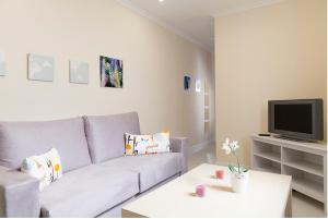 sala de estar con sofá y TV en For You Rentals parque del retiro apartment LDR28, en Madrid