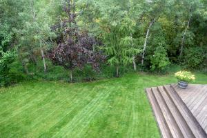 a yard with a wooden bench in the grass at South Africa House Guest Lodge in Wainwright