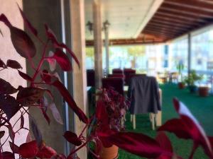 Restaurace v ubytování Grand Ezel Hotel