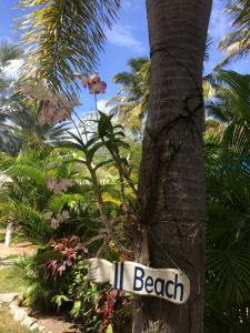 Aed väljaspool majutusasutust Buccaneer Beach Club