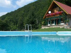 Πισίνα στο ή κοντά στο Pensiunea Ioana +38 φωτογραφίες