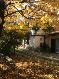 a tree with yellow leaves in front of a house at La Casa del Frate Rooms in Castiglion Fiorentino