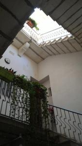 トラーパニにあるCasa Vacanze Trapani Via Mercèの植物のあるバルコニー付きの客室内の天窓