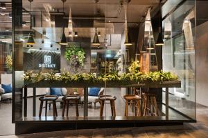 a restaurant with a counter with chairs and plants at District South Yarra in Melbourne