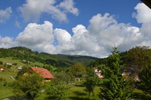 a house in a green field with trees and mountains at Chaty Antónia in Hriňová