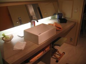 a bathroom counter with a sink and a mirror at B&Logies De Duinroos Koksijde in Koksijde