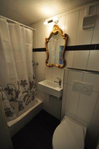 a bathroom with a toilet and a sink and a mirror at Seegärtli Riverside Apartment in Goldswil