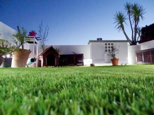 una casa con un patio con césped verde en Atico77, en Cáceres