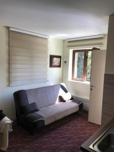 a living room with a couch and a window at Apartment Koko in Kopaonik