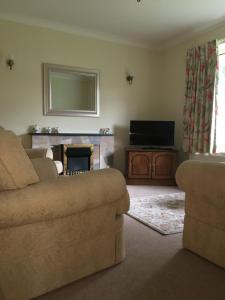 a living room with a couch and a fireplace at Fir Tree Cottage in Chester