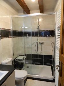 uma casa de banho com um chuveiro e um WC. em Gite de Cray em Lussault-sur-Loire